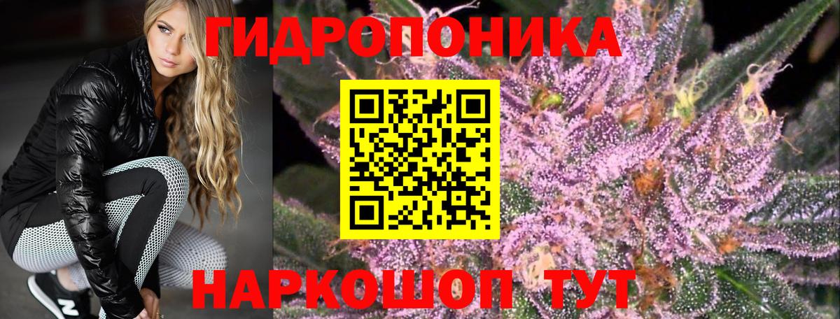 Марихуана Bruce Banner  Каннабис сатива  Вход с VPN  Керчь  Конопля конопля  Канабис конопля 